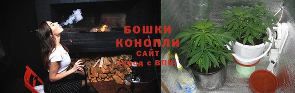 стафф Верхний Тагил