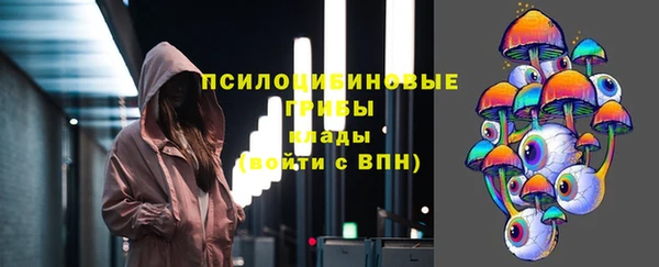 стафф Верхний Тагил