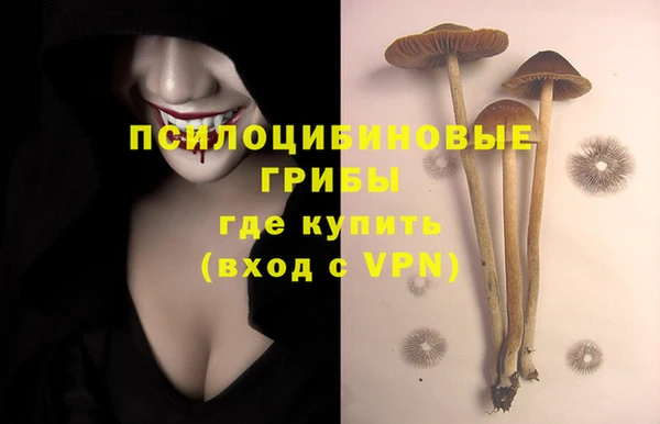 сатива Верхнеуральск