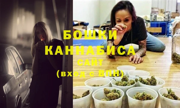 мдпв Верея