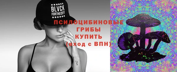мдпв Верея