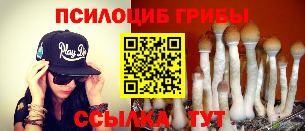 купить наркотик  Галлюциногенные грибы Psilocybe  Грязи  Вход с VPN  Галлюциногенные грибы мухоморы 