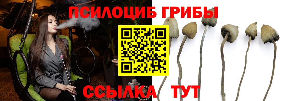 Галлюциногенные грибы мухоморы Грязи