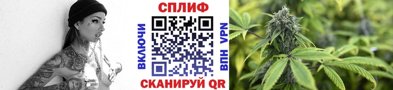 Бошки марихуана планчик  Грязи 