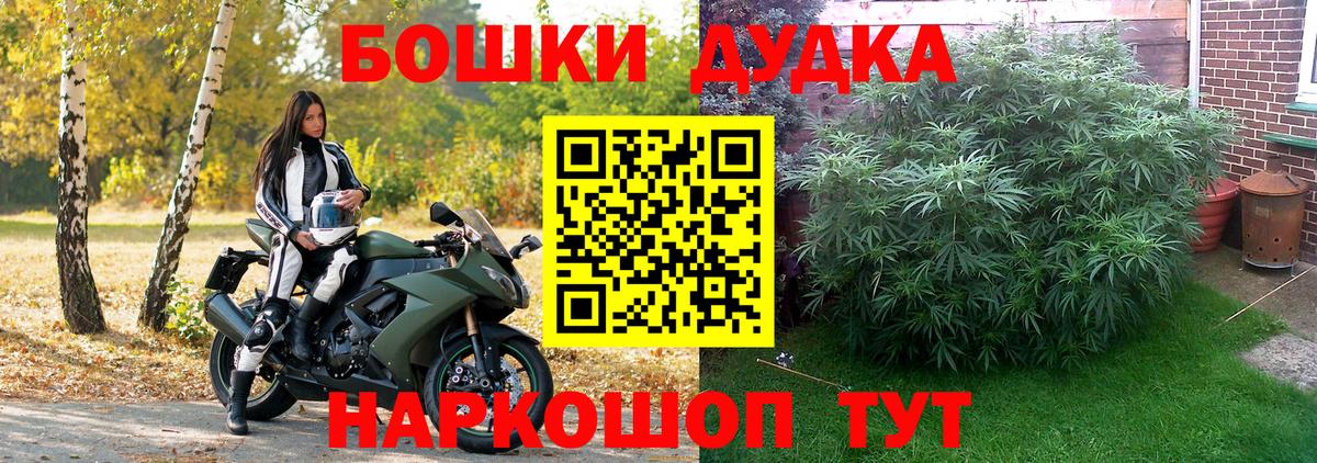 Бошки Шишки Amnesia  Вход с VPN  Марихуана семена  Грязи  Конопля Ganja 